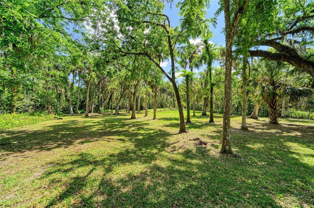 Listing Photo 70