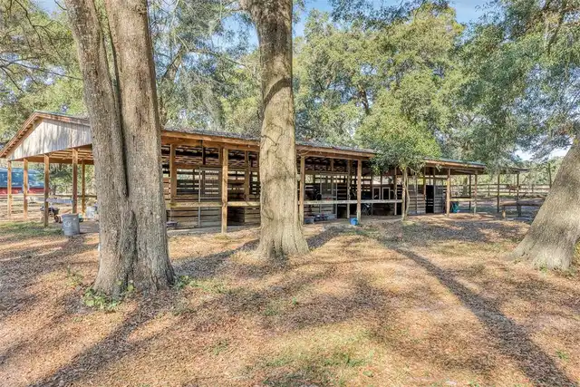 Listing Photo 12