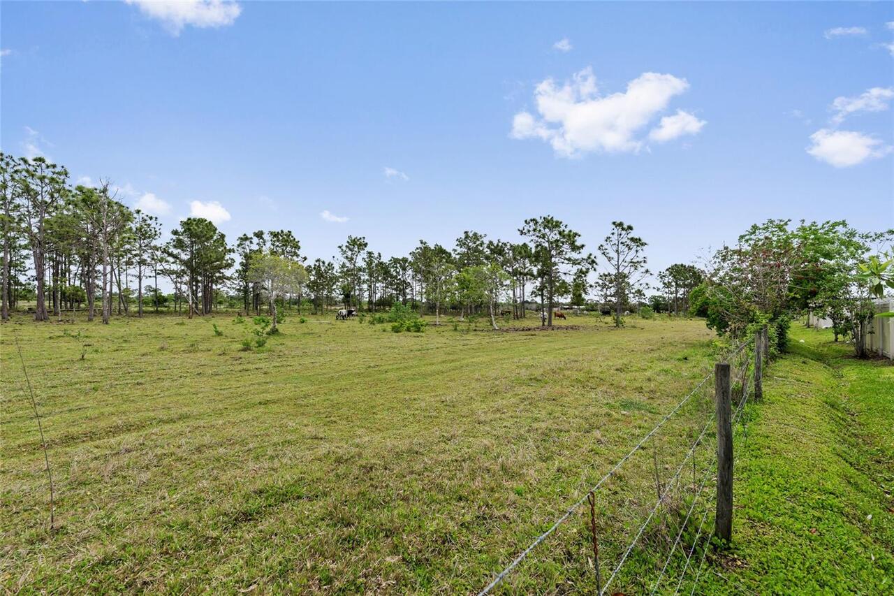 Listing Photo 31