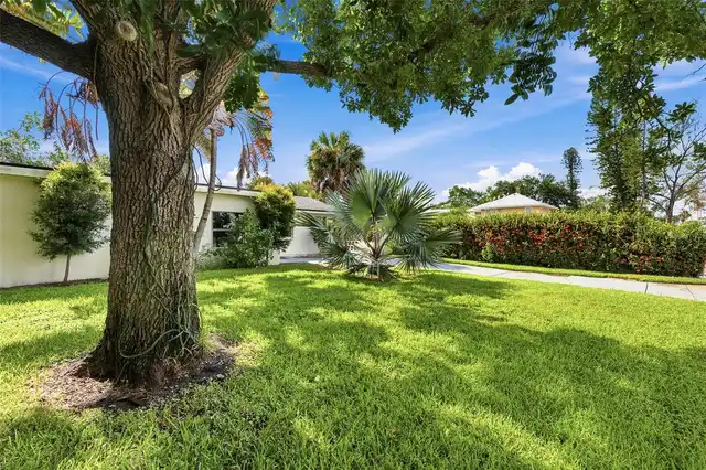 Listing Photo 73