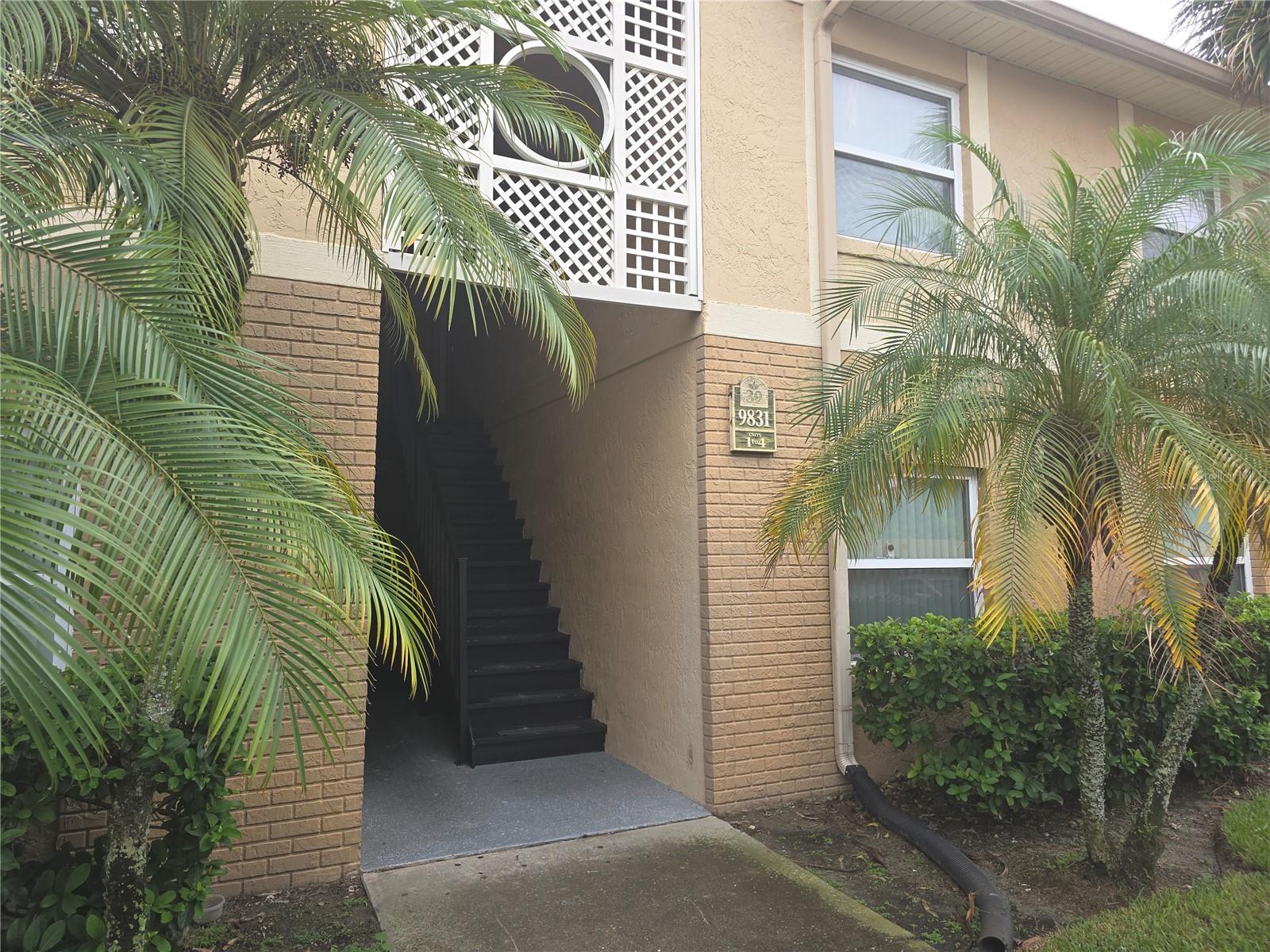 Orlando Real Estate