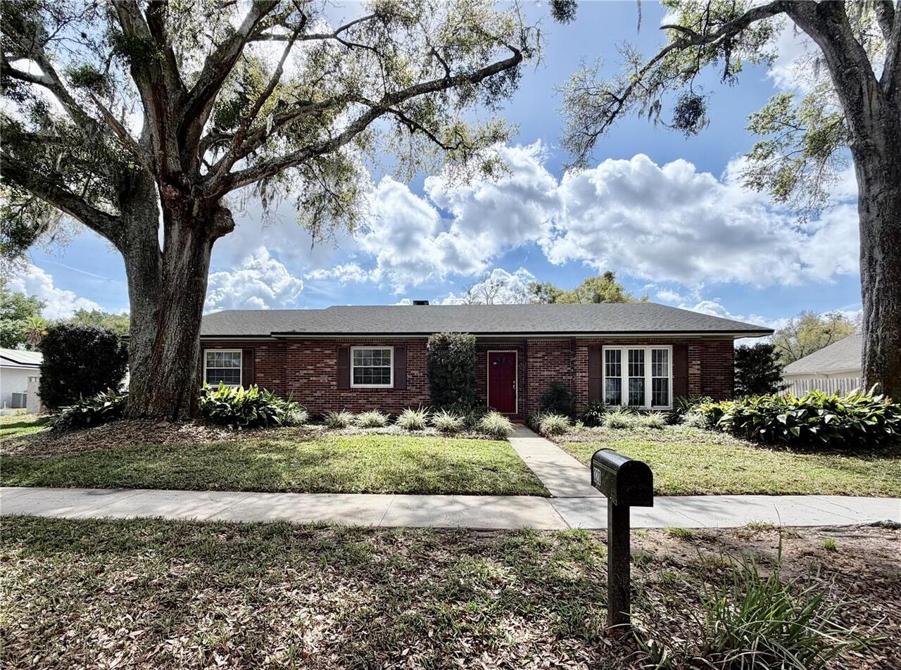 Maitland Real Estate