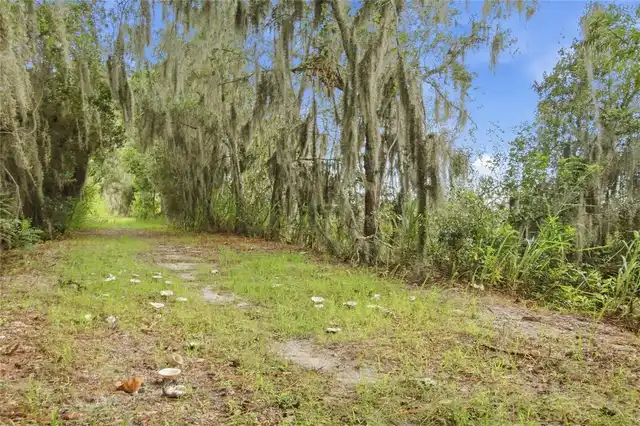 Listing Photo 93