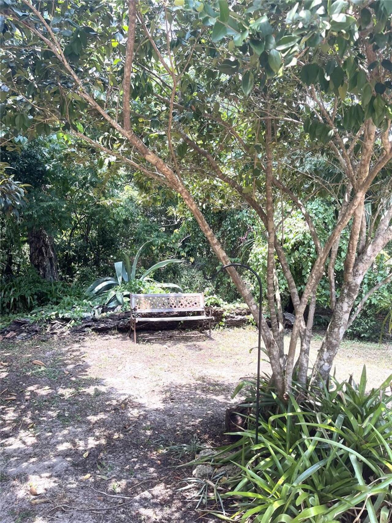 Listing Photo 10