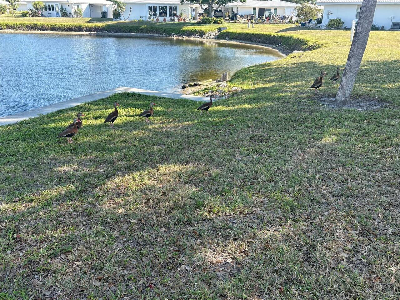 Listing Photo 54