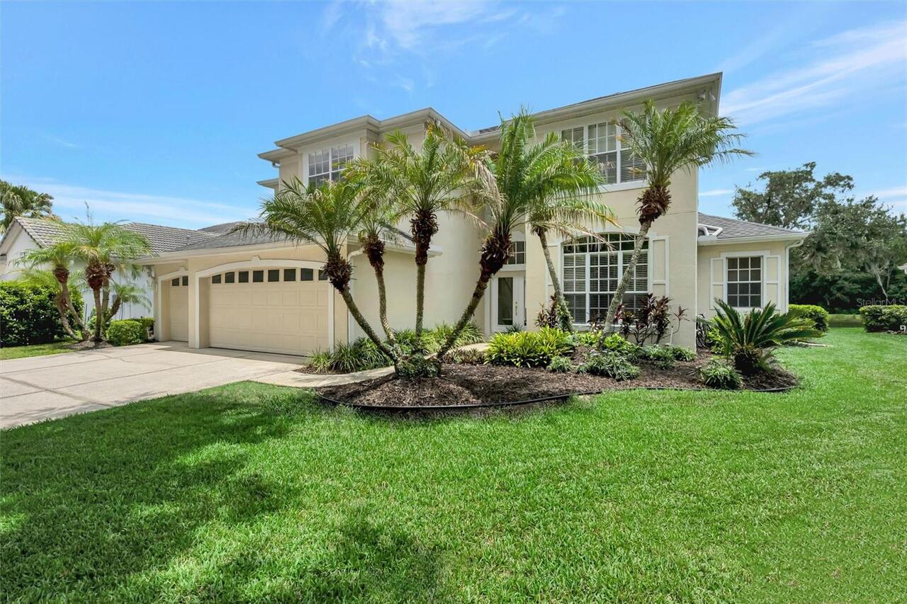 Tampa Real Estate