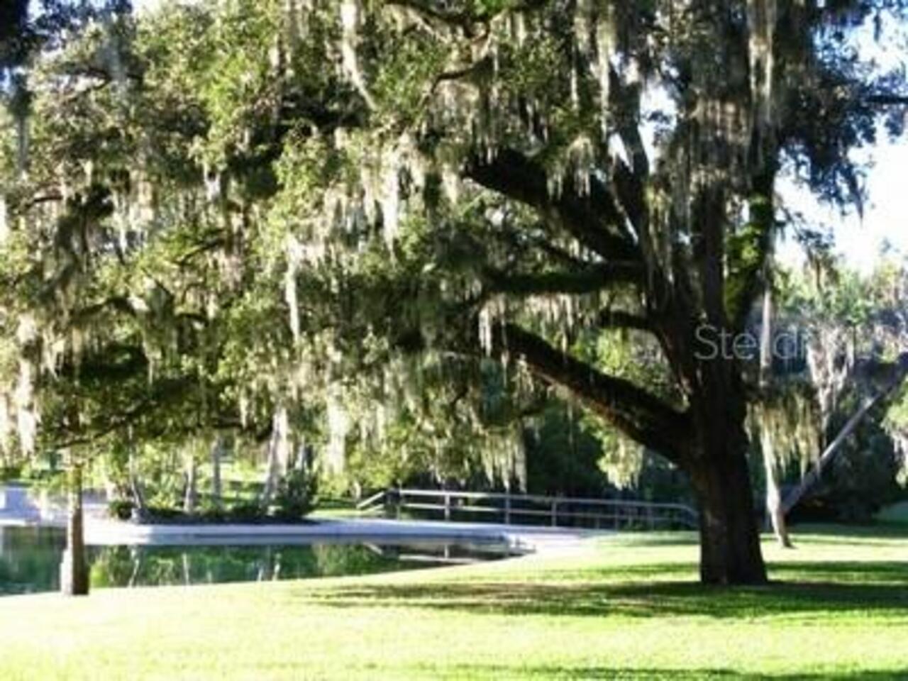 Listing Photo 28