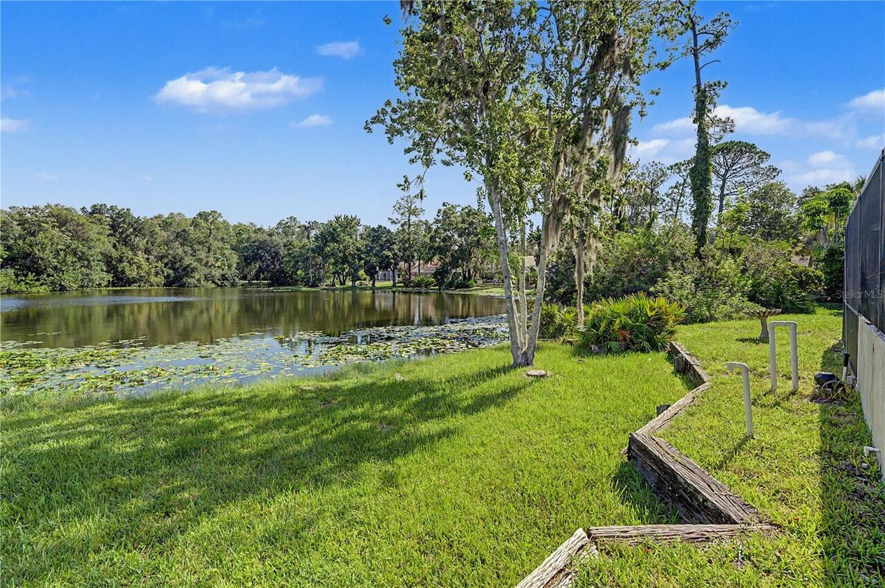 Listing Photo 62