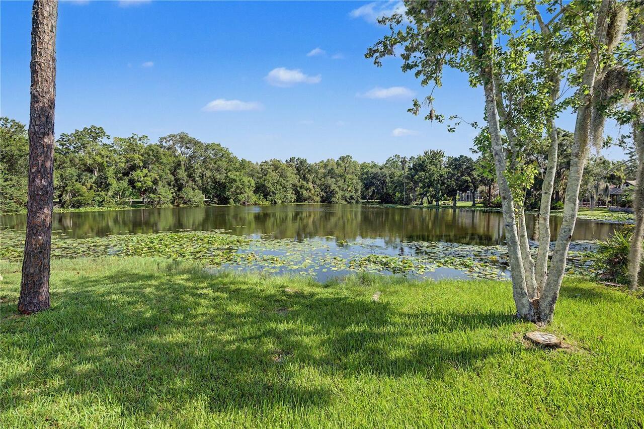 Listing Photo 63