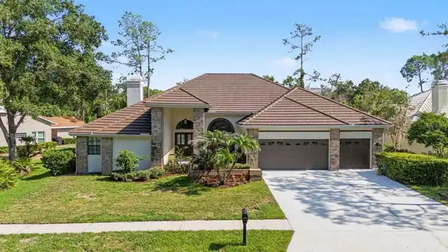 Oldsmar Real Estate