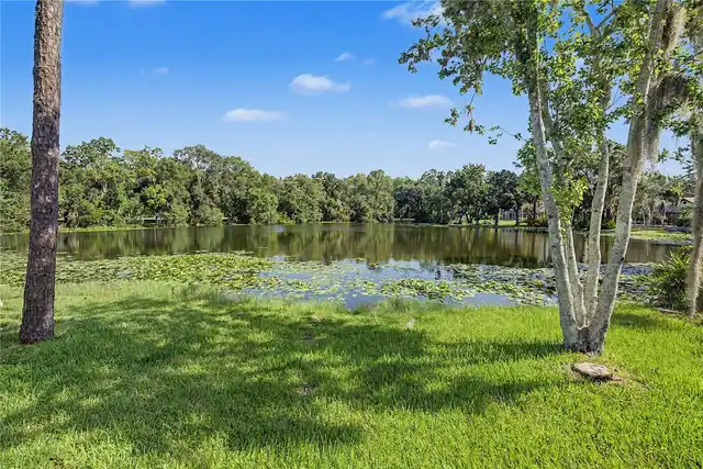 Listing Photo 63