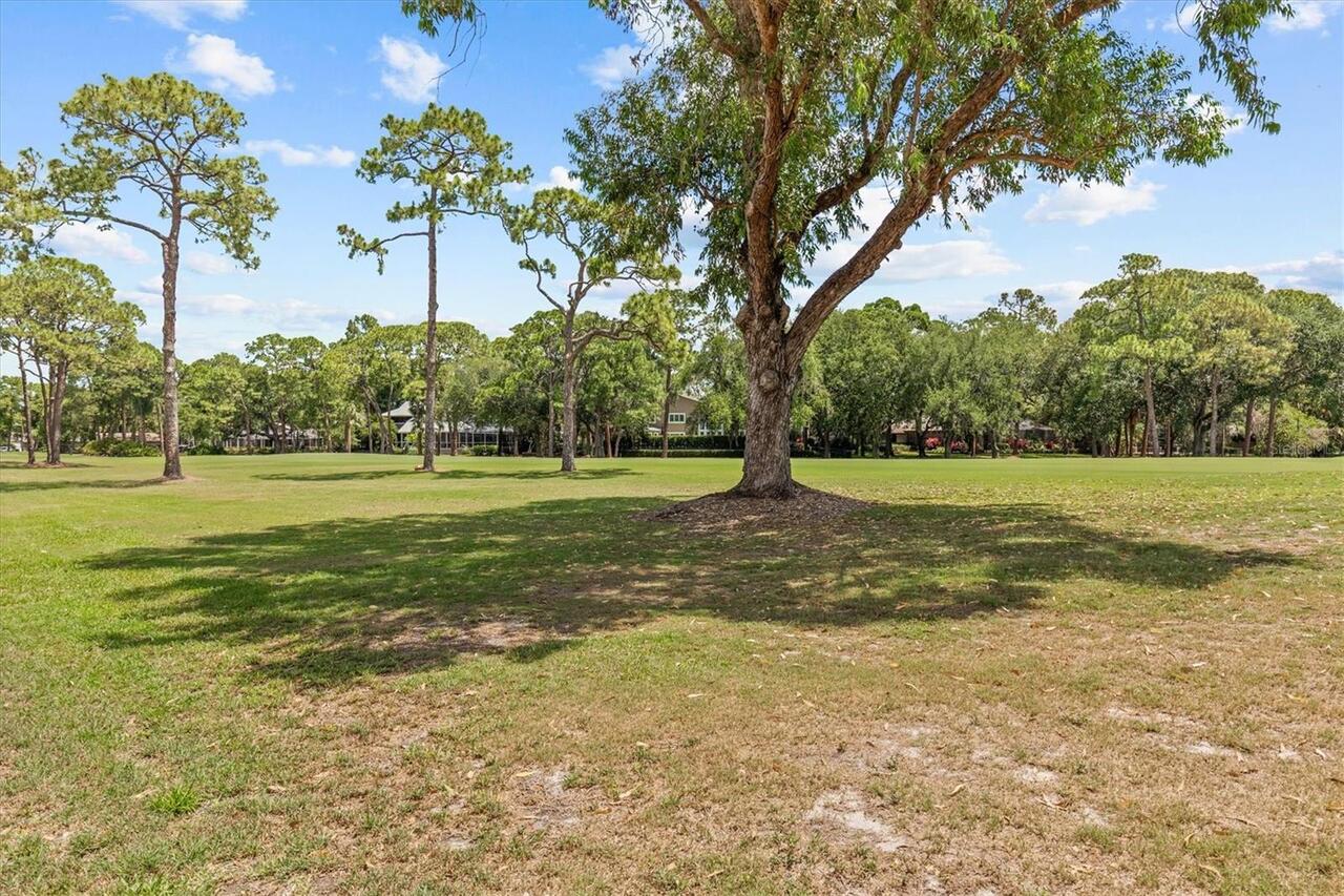Listing Photo 56
