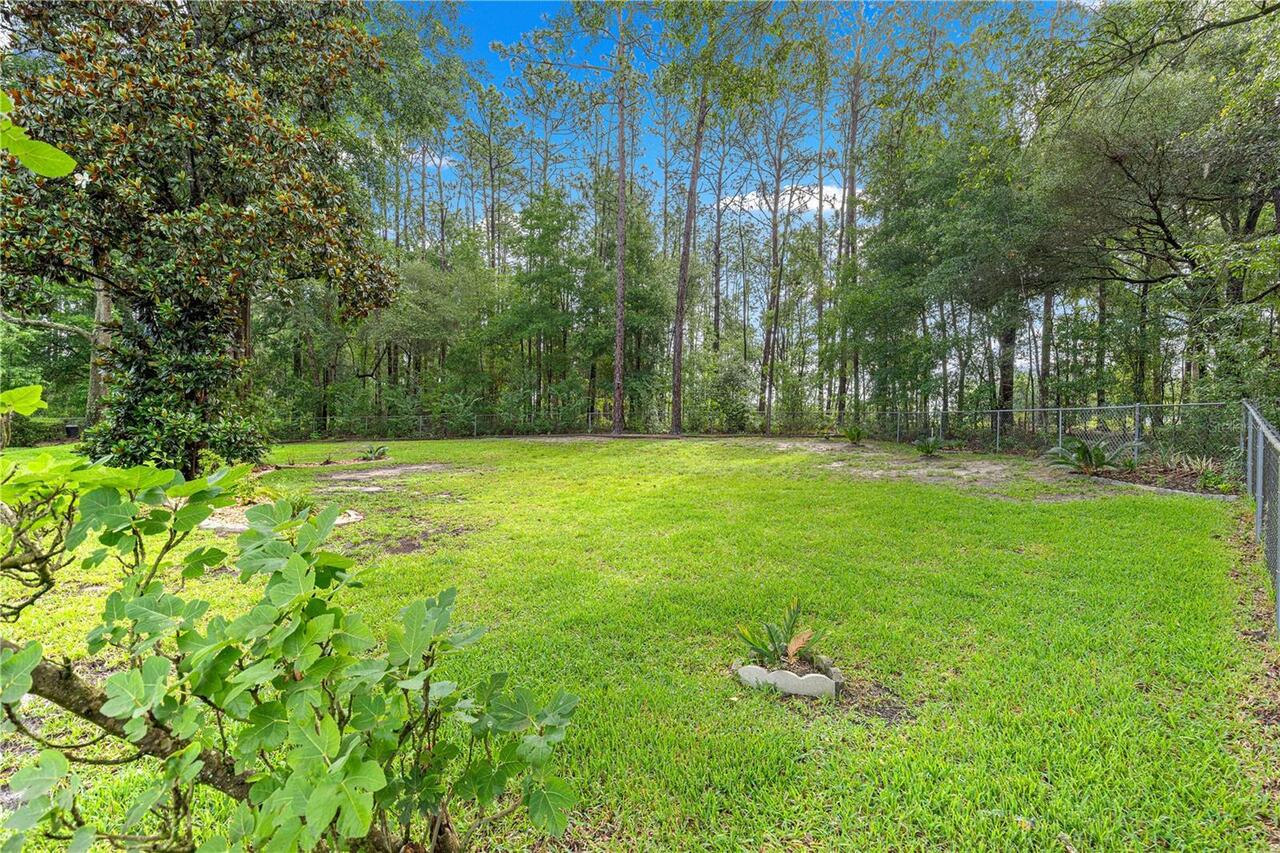 Listing Photo 45