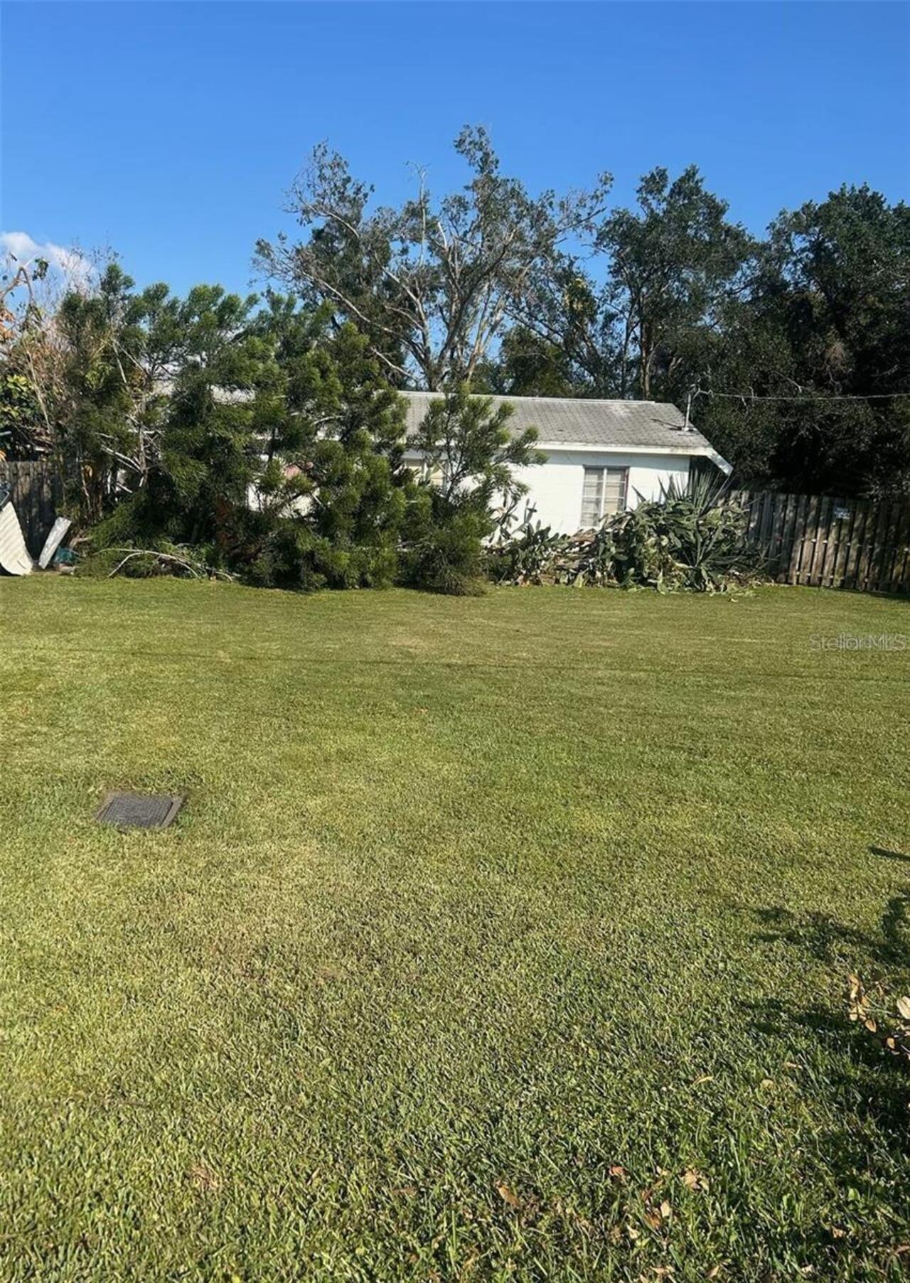 Tampa Real Estate