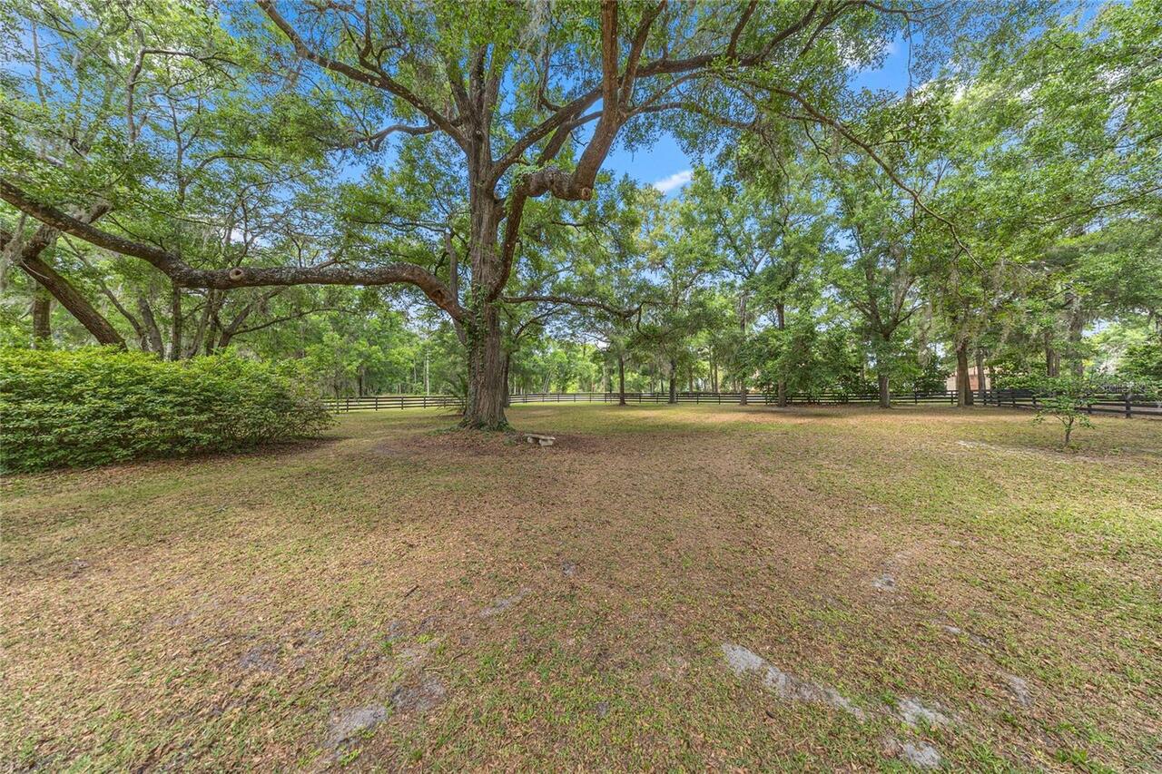 Listing Photo 51
