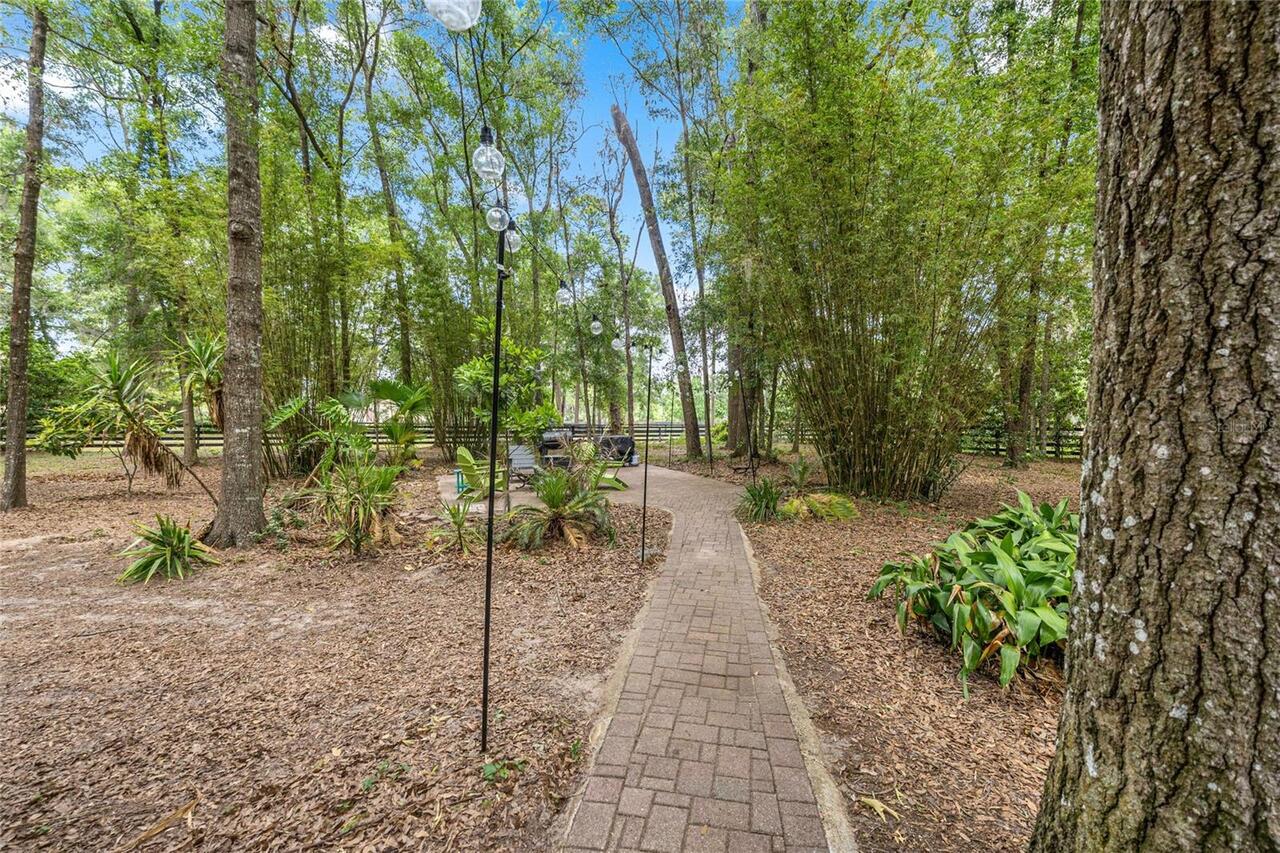 Listing Photo 47