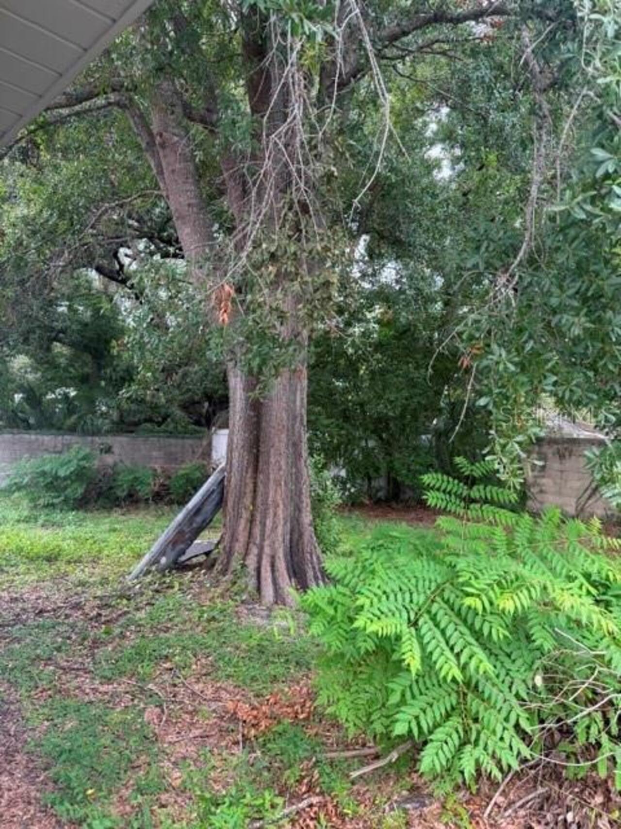 Listing Photo 19