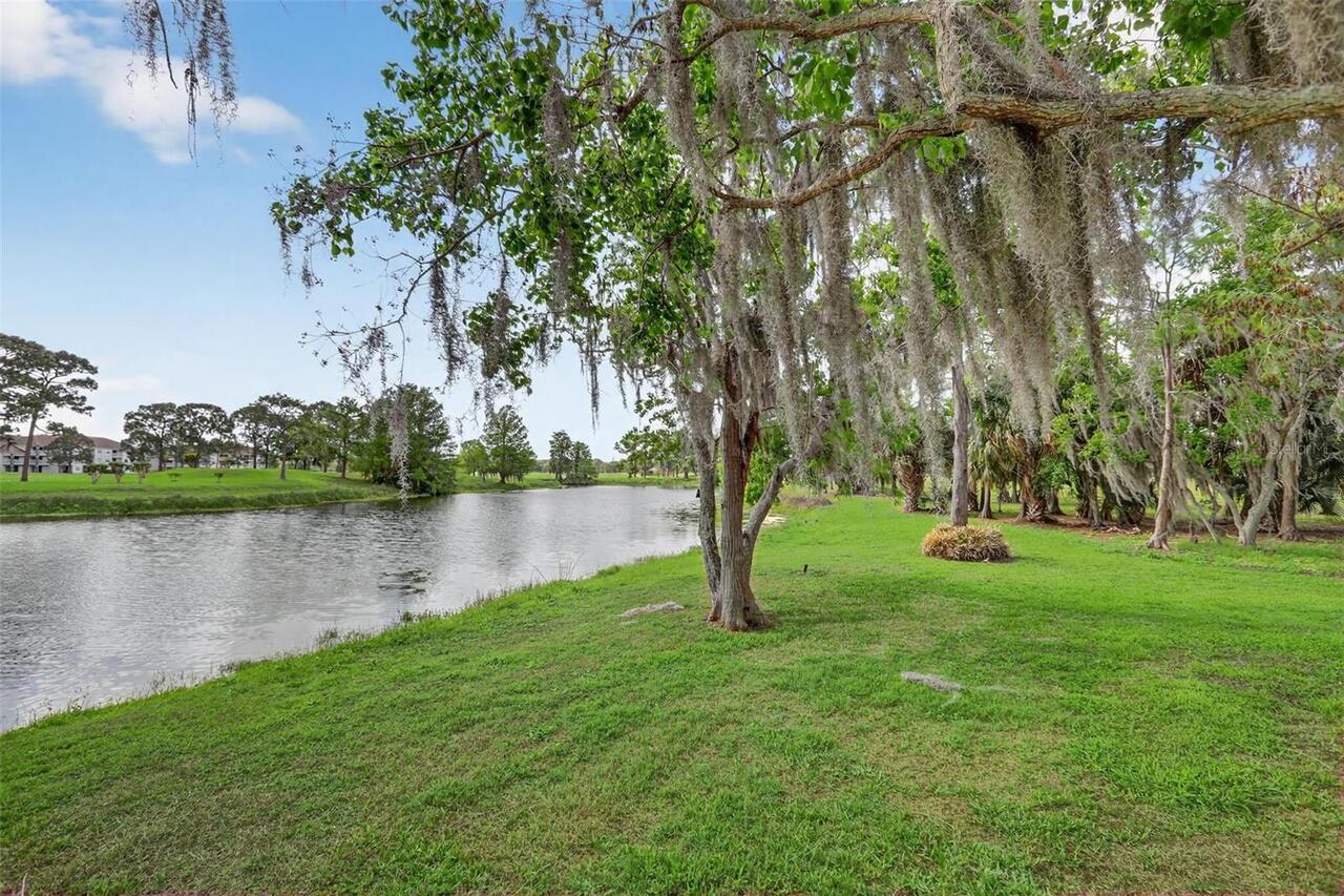 Listing Photo 47