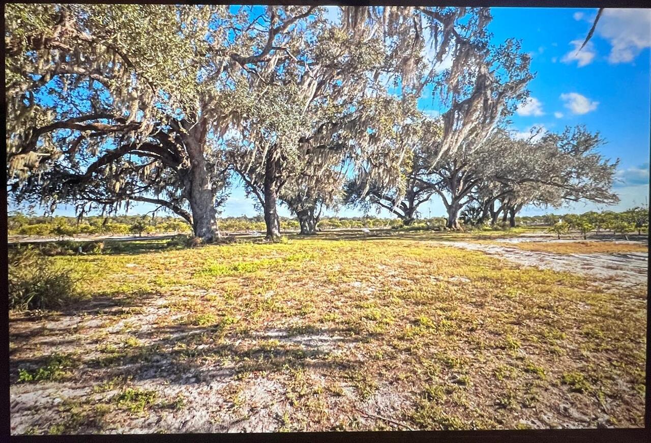 Listing Photo 17