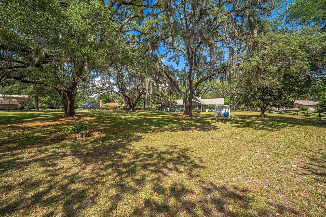 Listing Photo 51