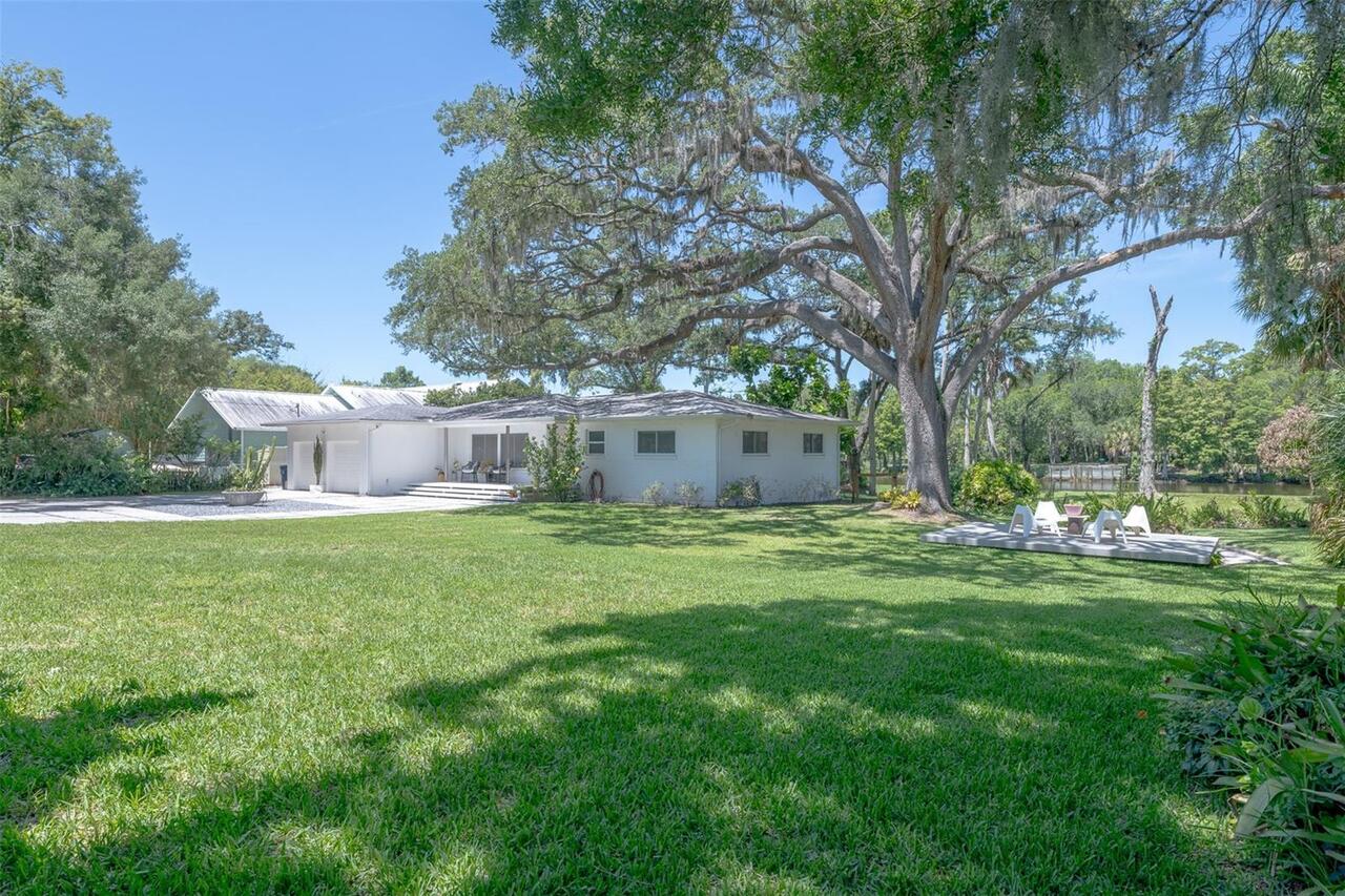 Tampa Real Estate