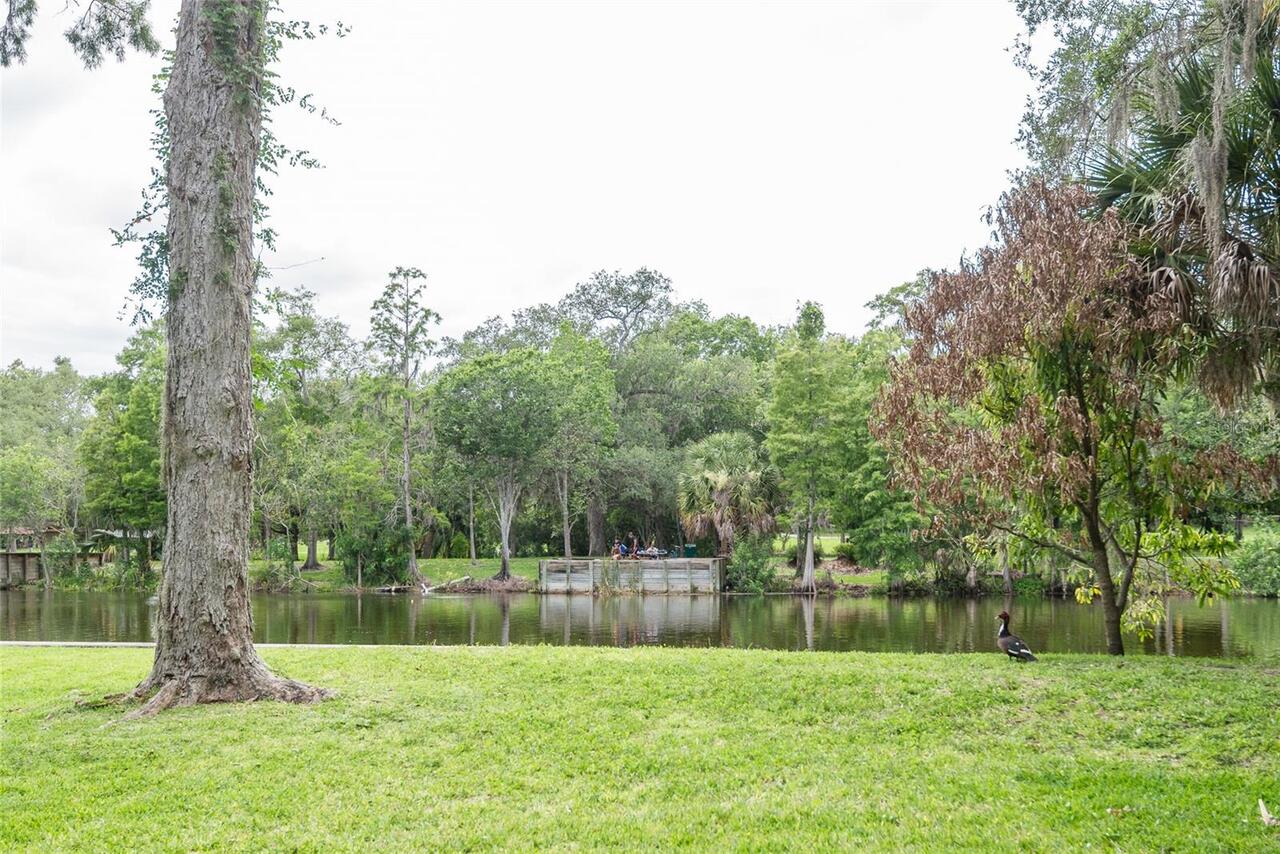 Listing Photo 49