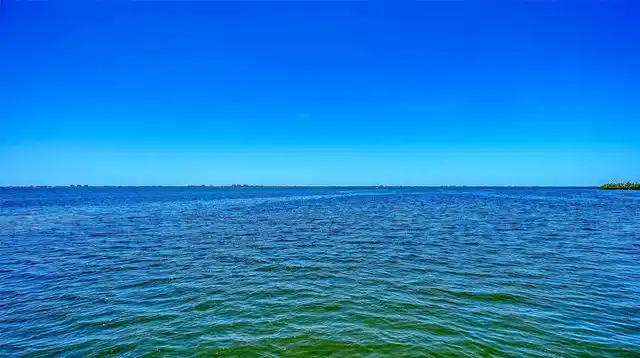 Listing Photo 61