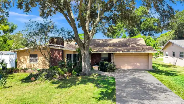 Listing Photo 35