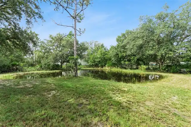 Listing Photo 47