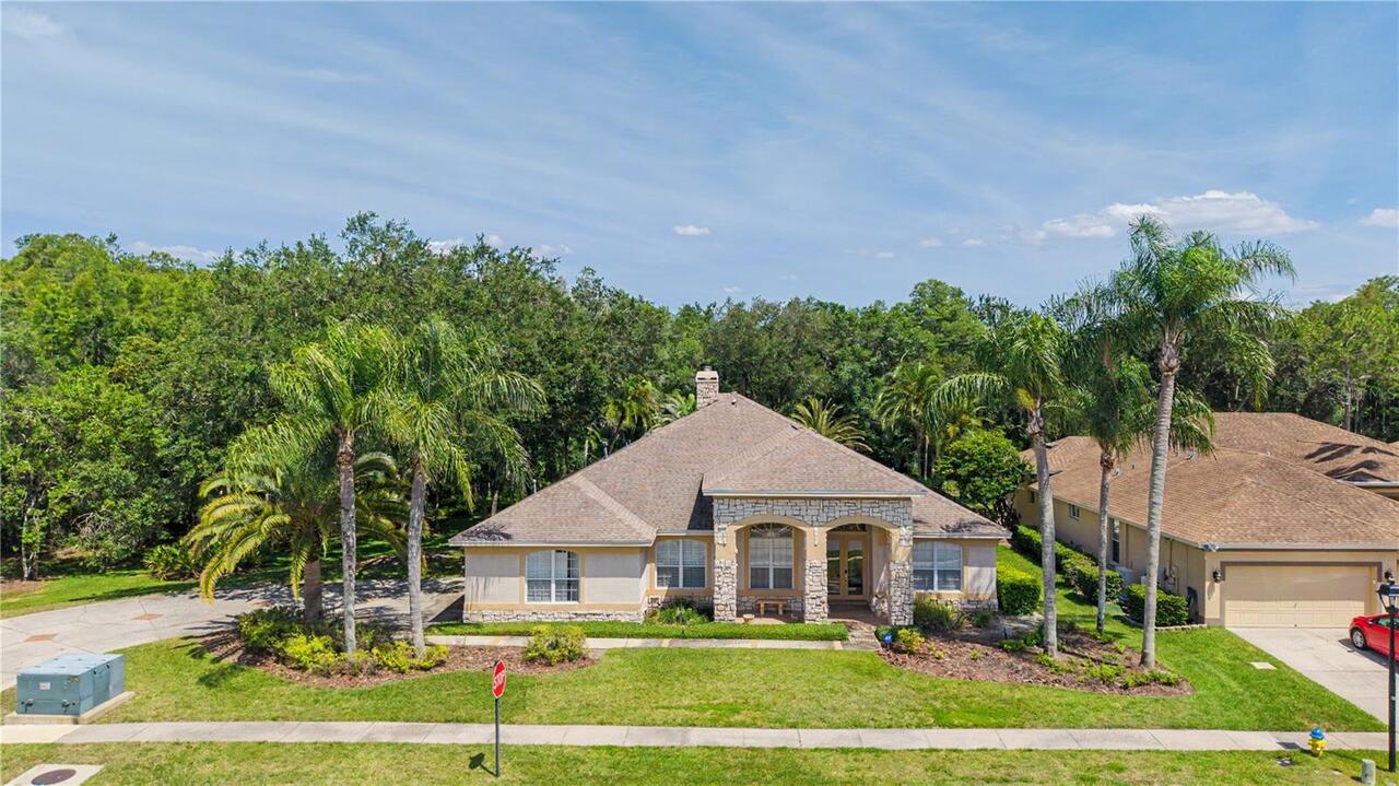 Lutz Real Estate