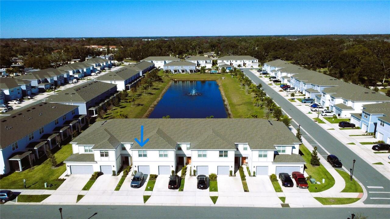 Winter Park Real Estate