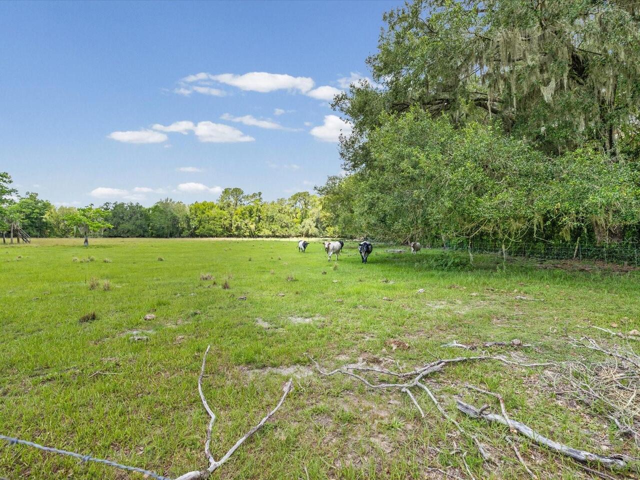 Listing Photo 48