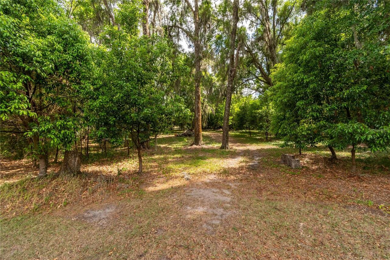 Listing Photo 64