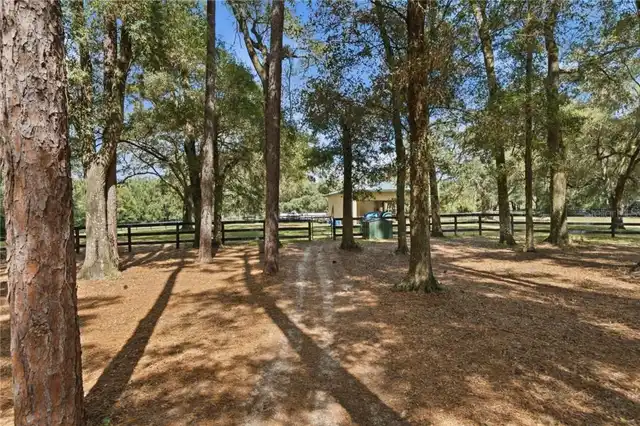 Listing Photo 64