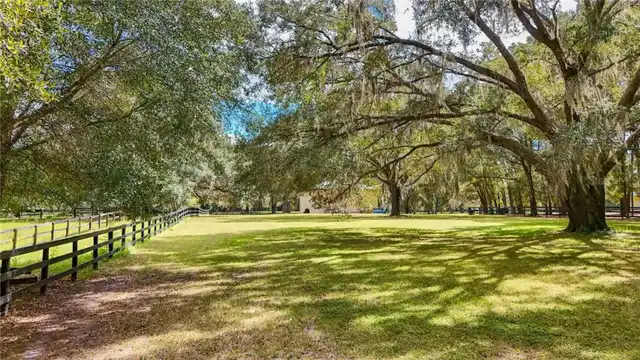 Listing Photo 81