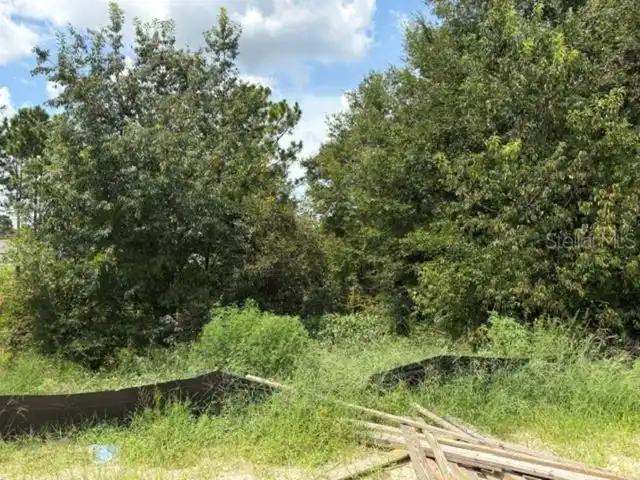 Listing Photo 9