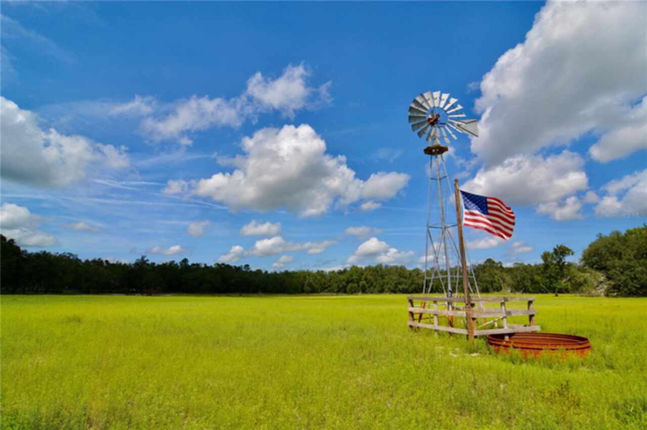 Lake City Real Estate