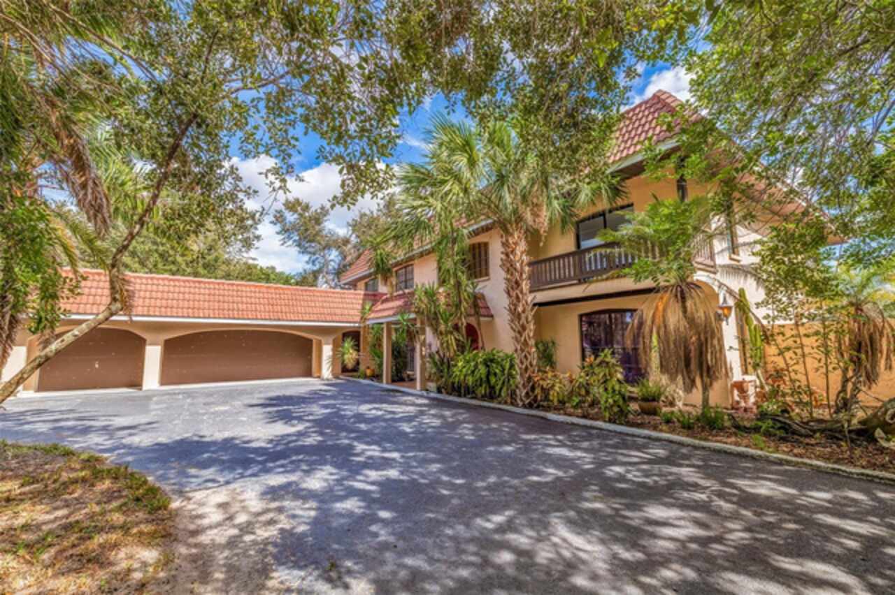 Palmetto Real Estate