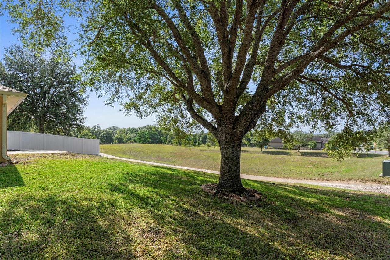 Listing Photo 35