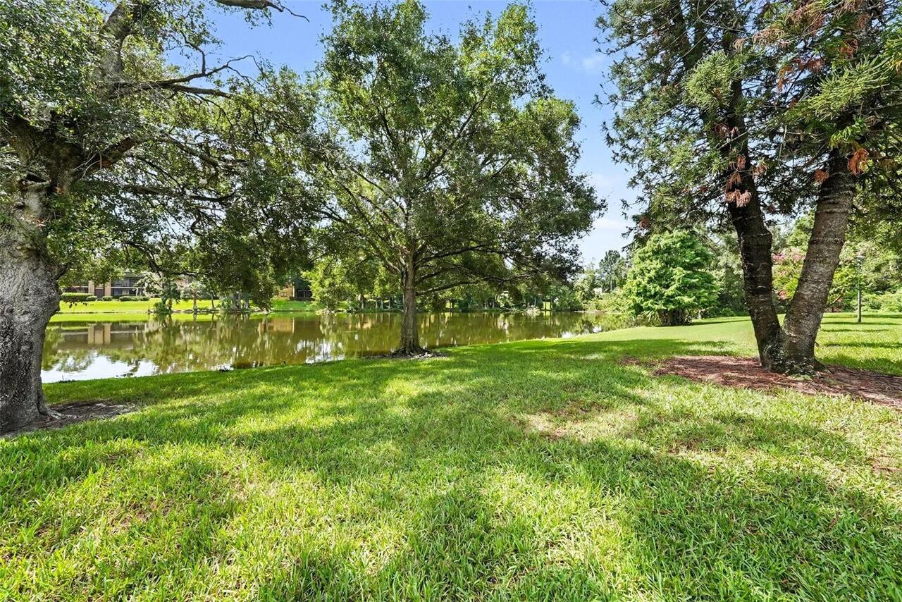 Listing Photo 28