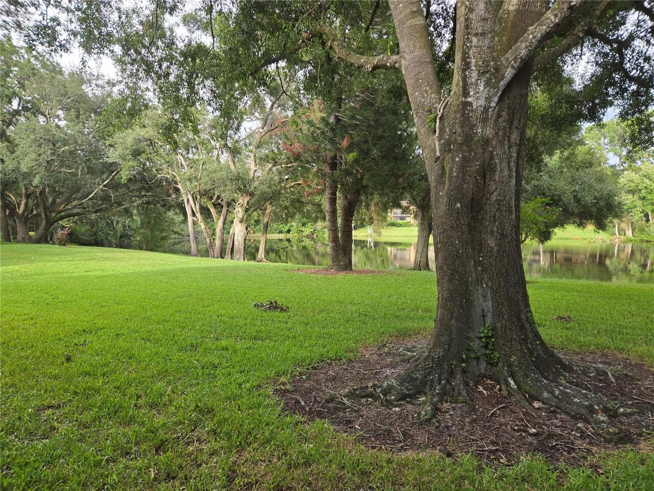 Listing Photo 33