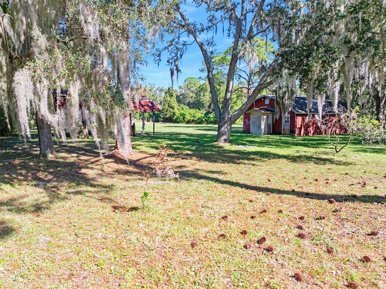 Listing Photo 6