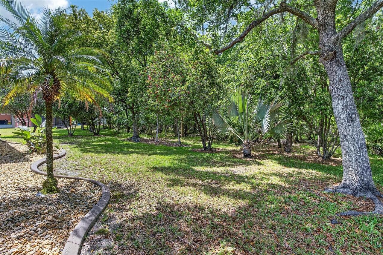 Listing Photo 52