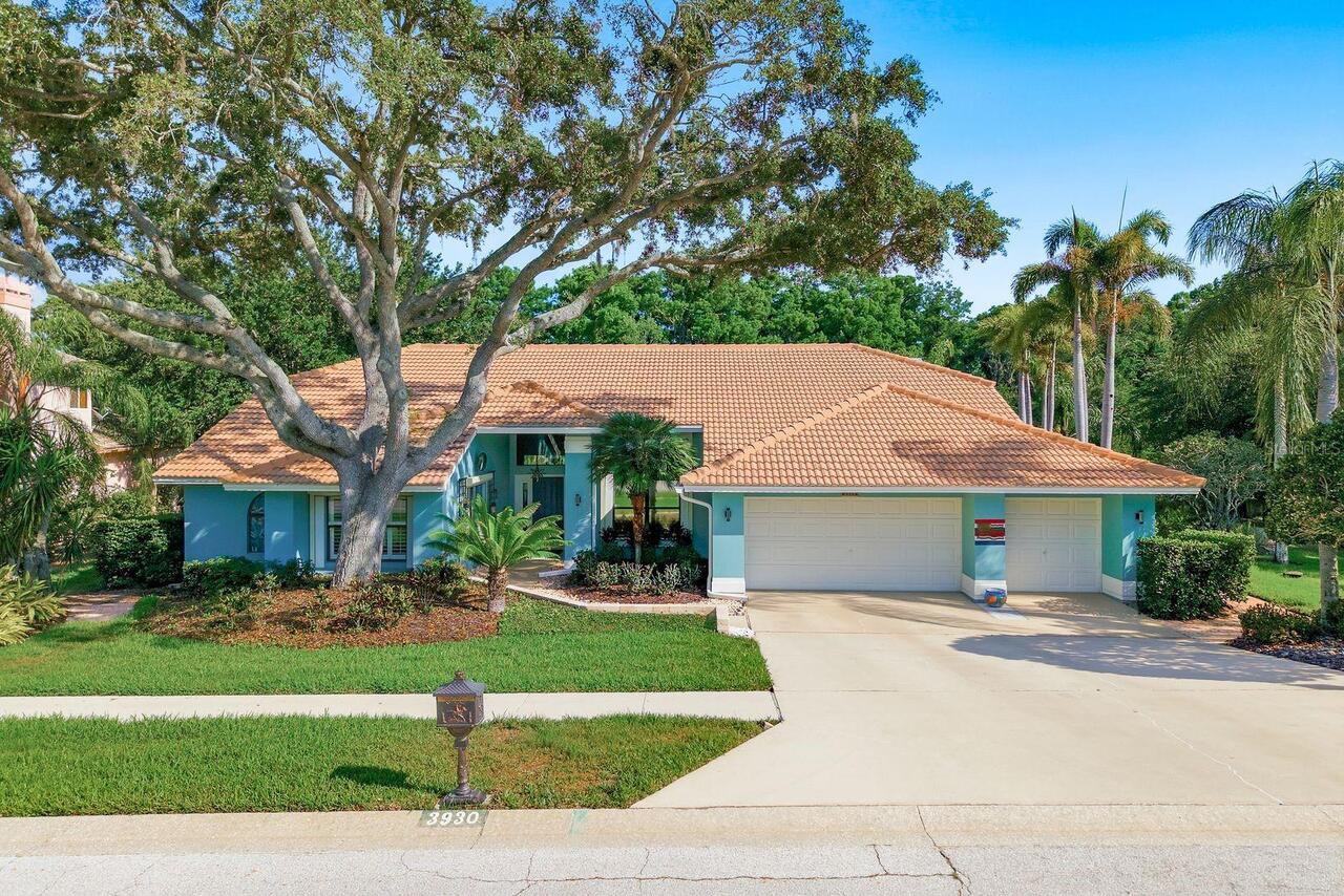 Palm Harbor Real Estate