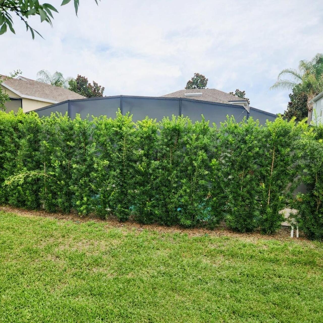 Listing Photo 43