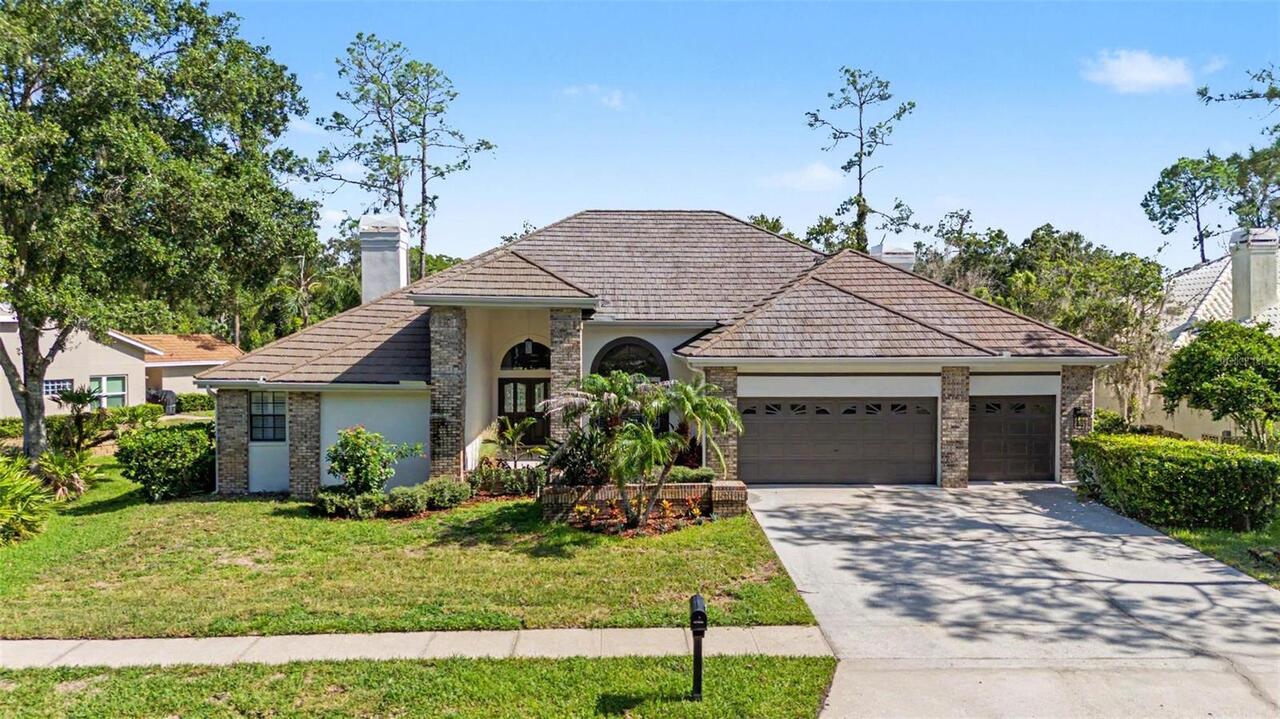 Oldsmar Real Estate