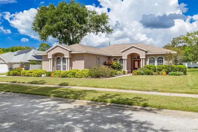 Palm Harbor Real Estate