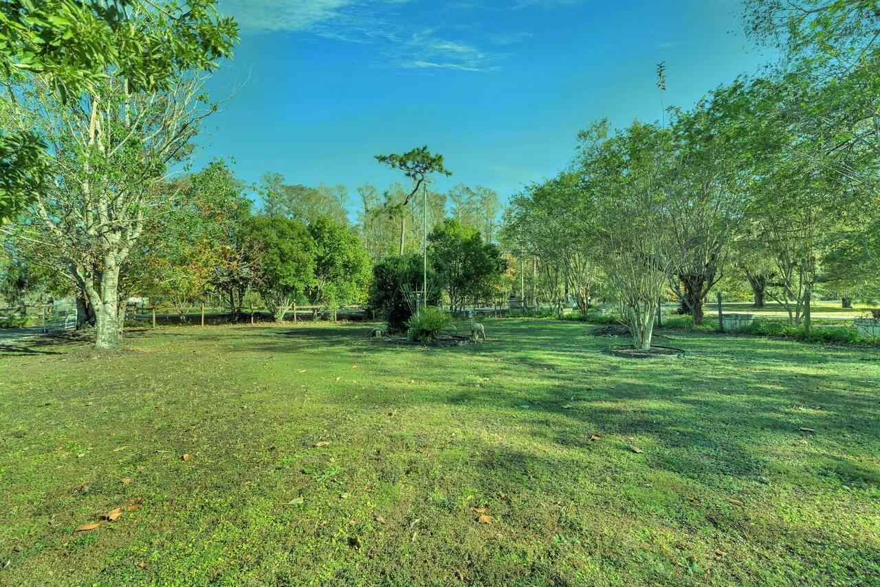 Listing Photo 10