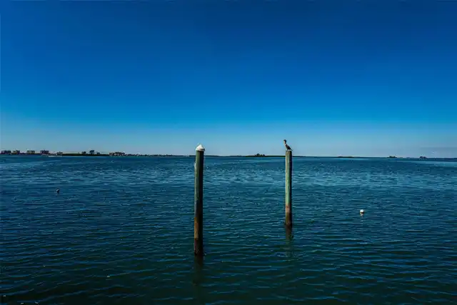 Listing Photo 71