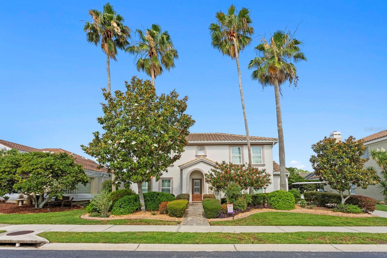 Safety Harbor Real Estate